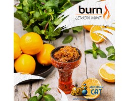 Табак Burn Lemon Mint (Лимон Мята) 25г Акцизный